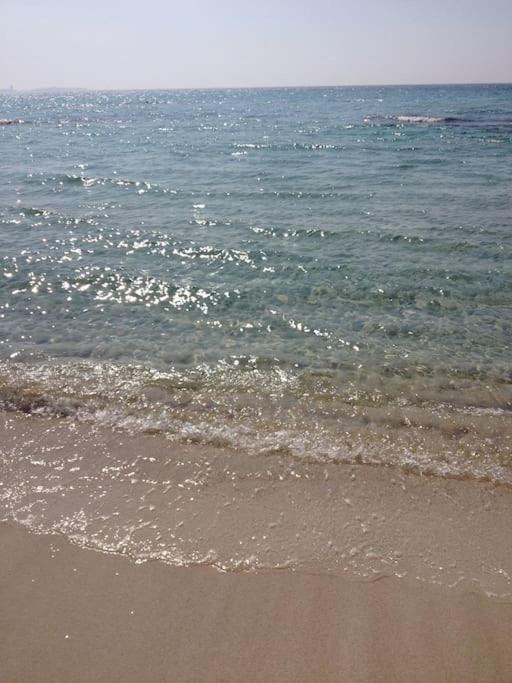 Panoramico Appartamento Lido Conchiglie Gallipoli Eksteriør bilde
