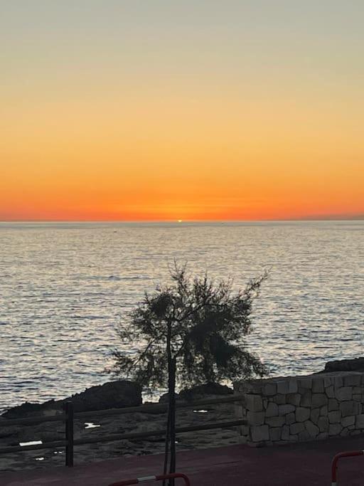 Panoramico Appartamento Lido Conchiglie Gallipoli Eksteriør bilde